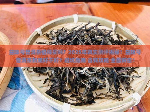 益咪号普洱茶怎么样