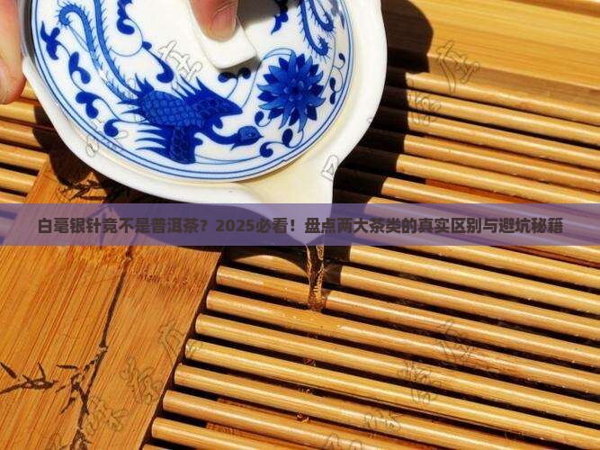 白毫银针属于普洱茶吗