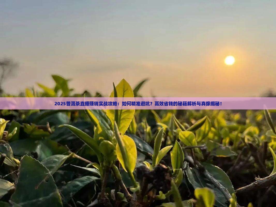 普洱茶直播能赚钱吗
