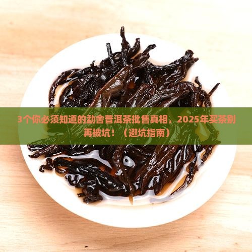 批售勐舍普洱茶价格