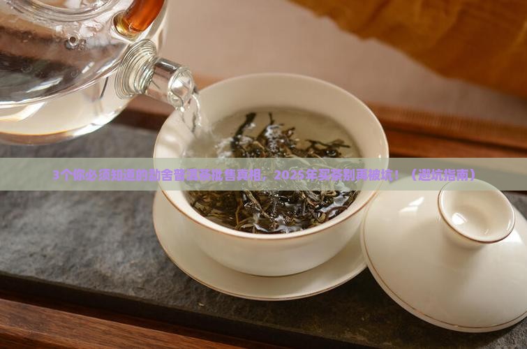 批售勐舍普洱茶价格