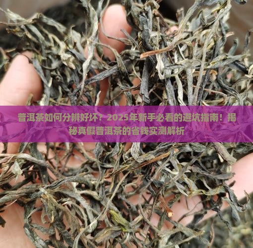 普洱茶是如何分辨好坏
