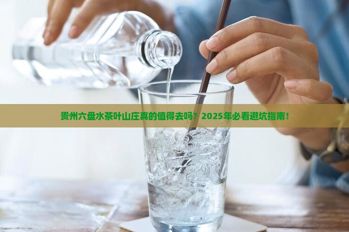 贵州六盘水茶叶山庄
