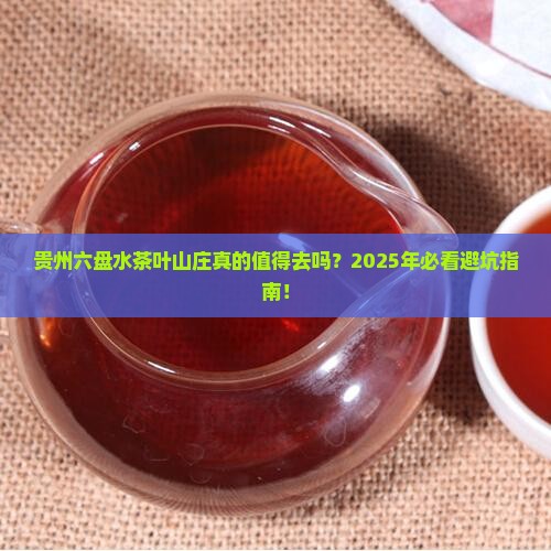 贵州六盘水茶叶山庄