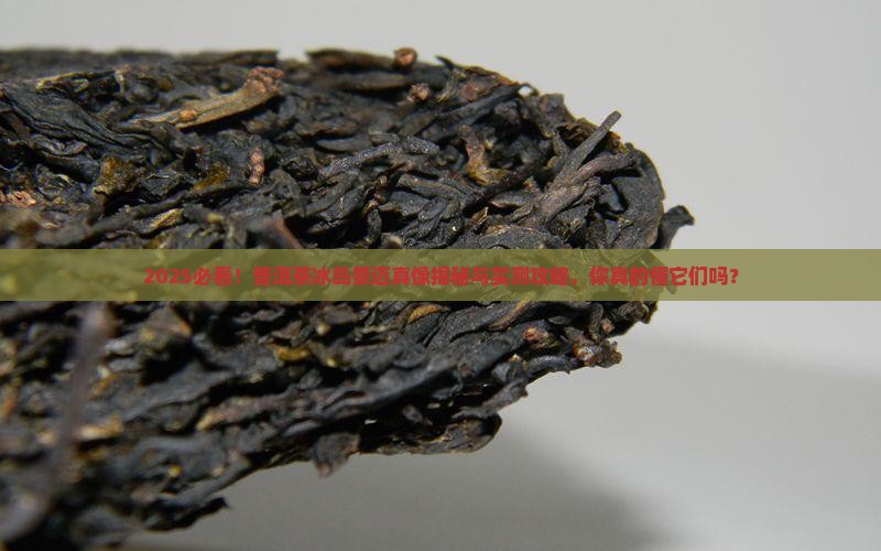 普洱茶冰岛景迈什么意思