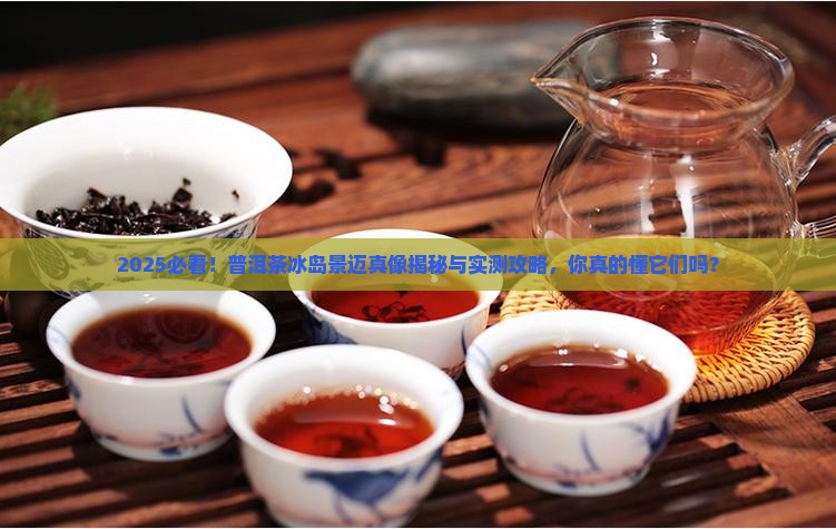 普洱茶冰岛景迈什么意思