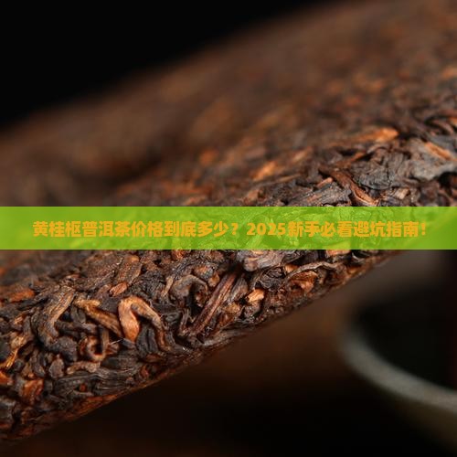 黄桂枢普洱茶价格