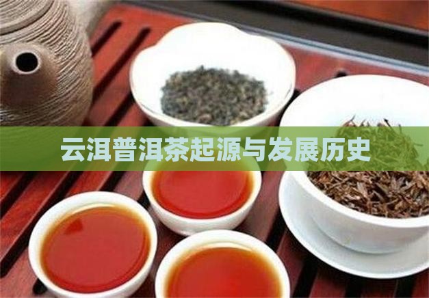 云洱普洱茶起源
