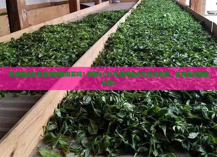 普洱茶金奖黄盒