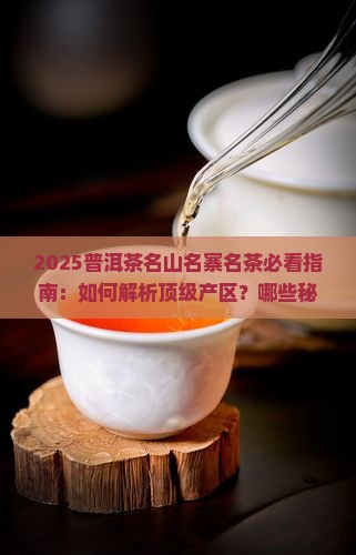 普洱茶名山名寨名茶