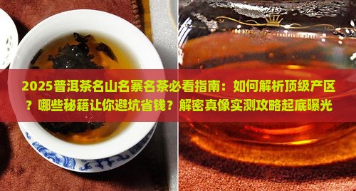 普洱茶名山名寨名茶