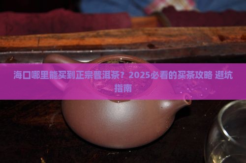海口卖普洱茶的地方在哪里