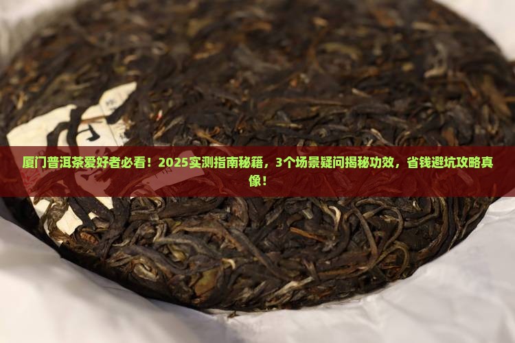 厦门普洱茶功效与作用