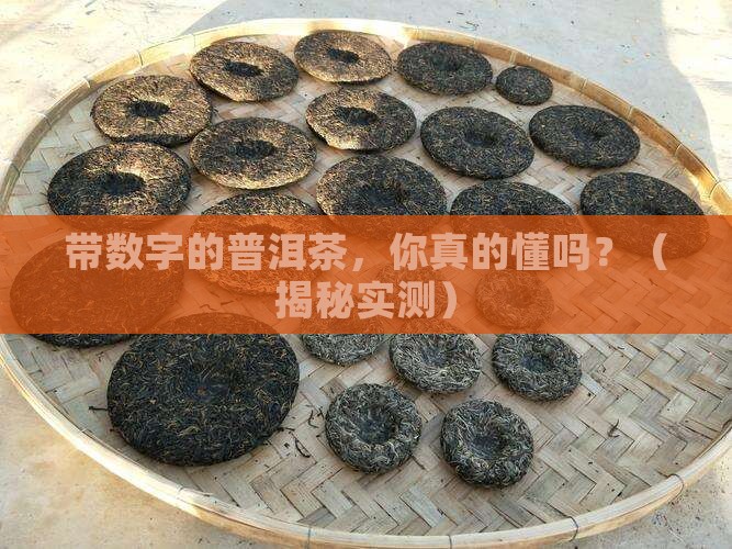 带数字的普洱茶