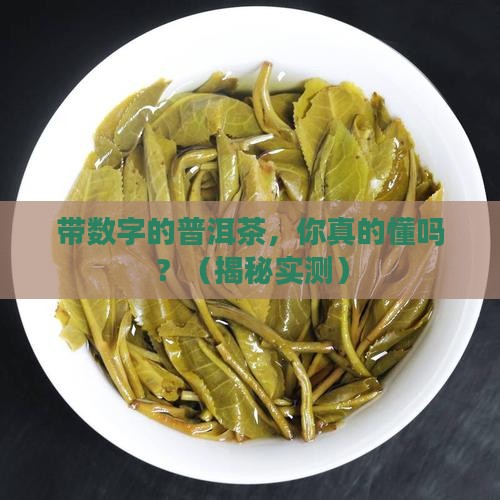 带数字的普洱茶