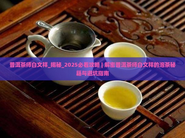 普洱茶师白文祥