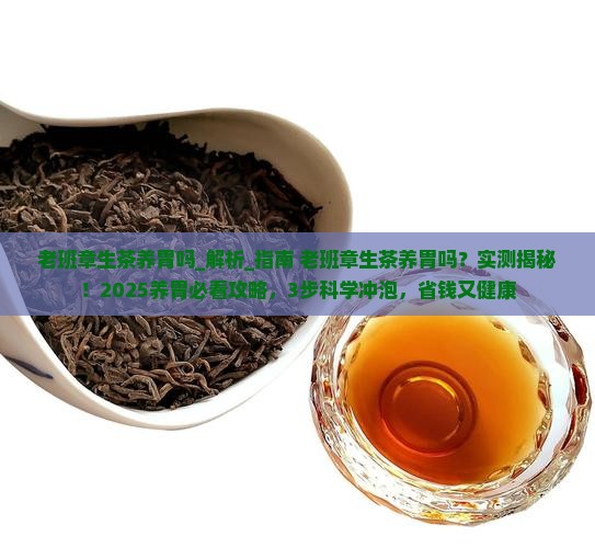 老班章生茶养胃吗