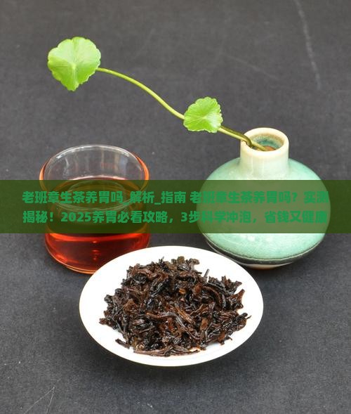 老班章生茶养胃吗