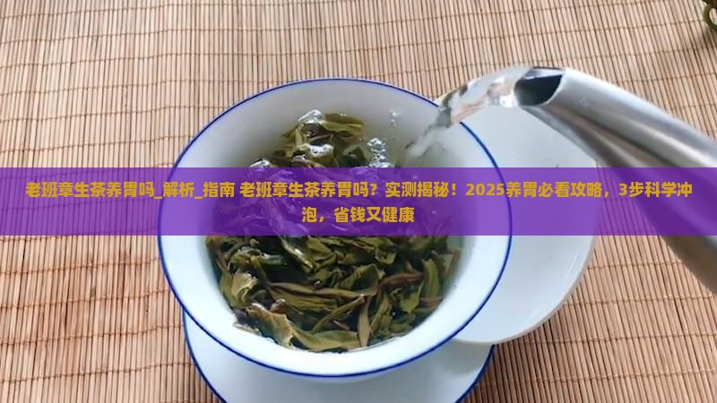 老班章生茶养胃吗