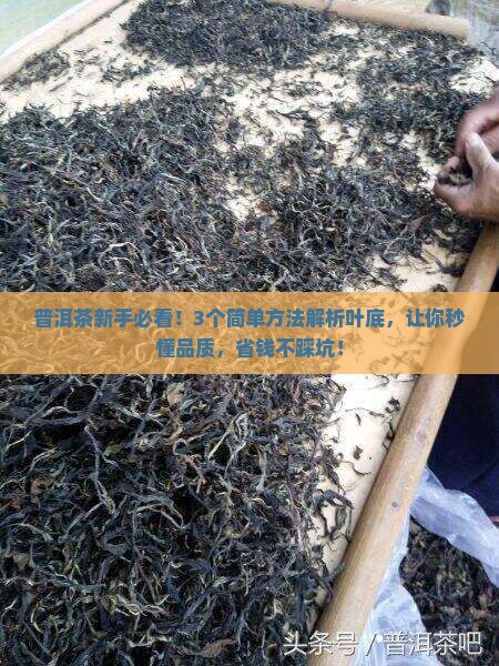 普洱茶的叶底怎么形容