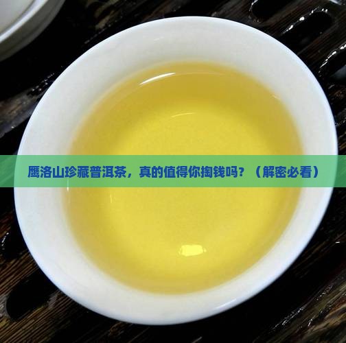 鹰洛山珍藏普洱茶