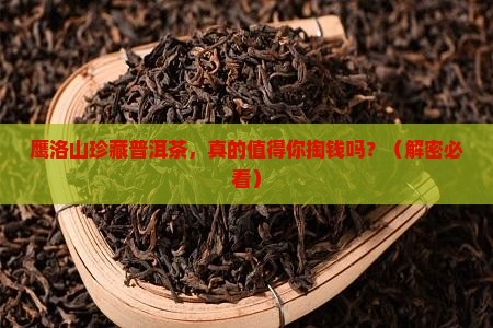 鹰洛山珍藏普洱茶