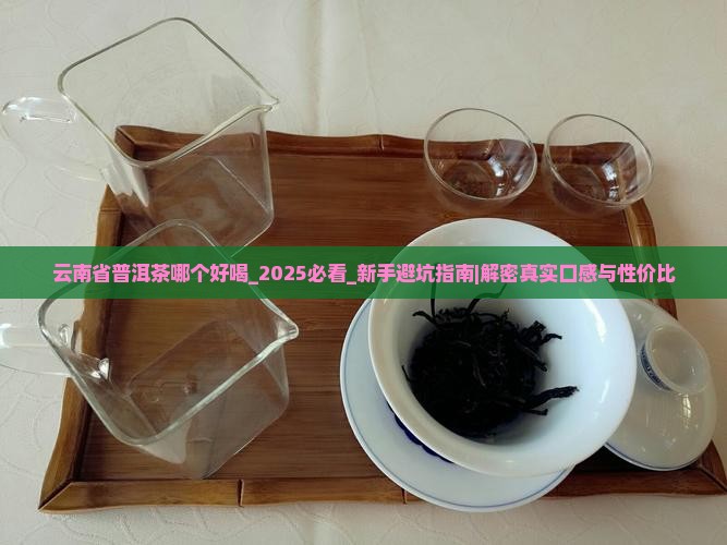 云南省普洱茶哪个好喝