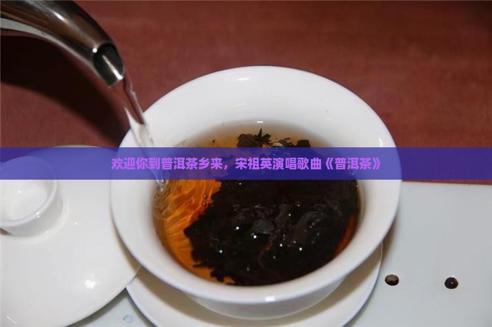 欢迎你到普洱茶乡来