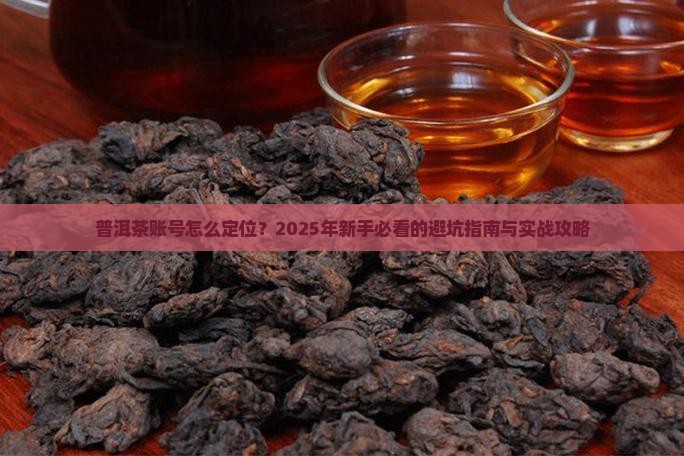 普洱茶账号定位