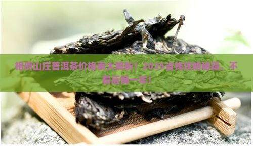 相府山庄普洱茶价格表