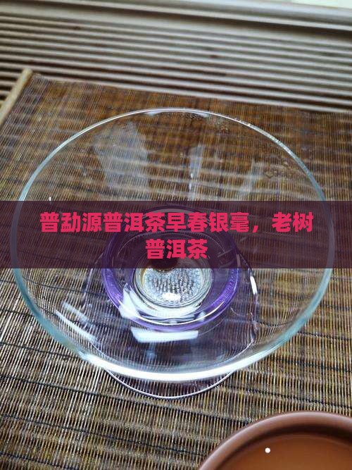 普勐源普洱茶早春银毫