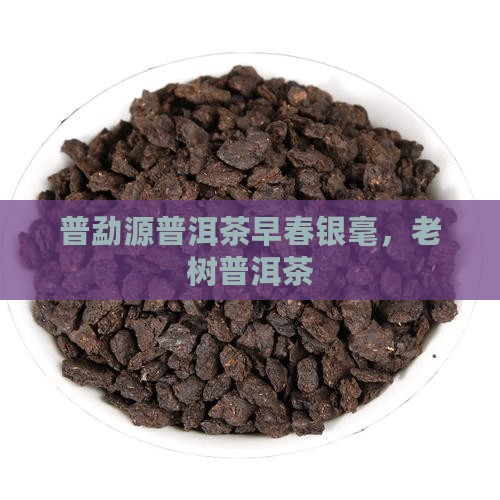 普勐源普洱茶早春银毫