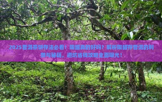 陶罐存普洱茶饼好吗