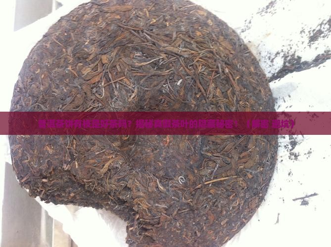 普洱茶饼有枝是好茶叶吗