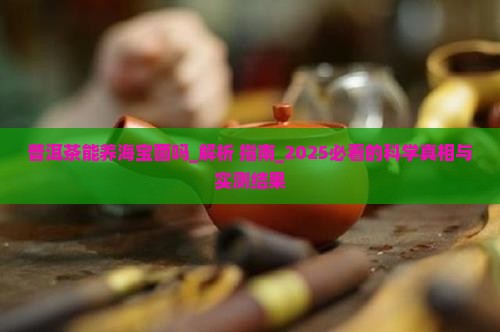 普洱茶能养海宝菌吗