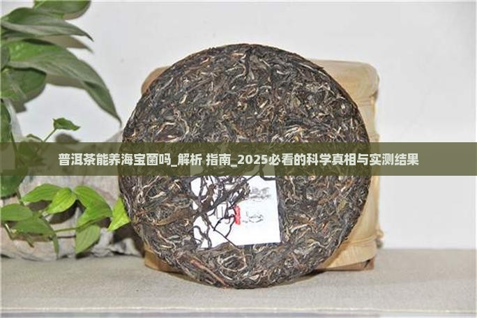 普洱茶能养海宝菌吗