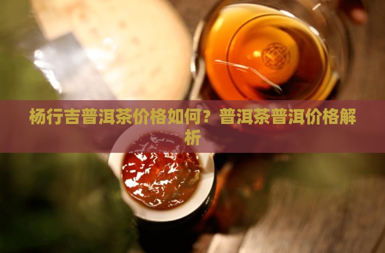 杨行吉普洱茶贵吗