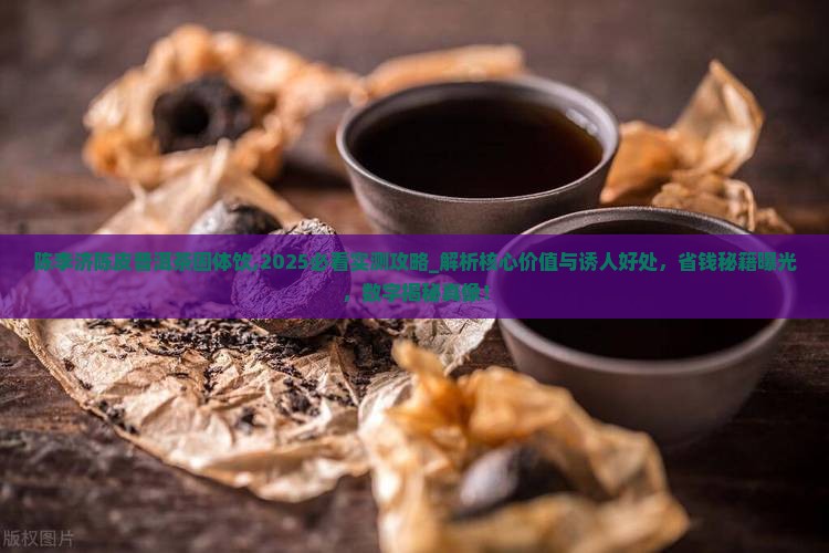 陈李济陈皮普洱茶固体饮