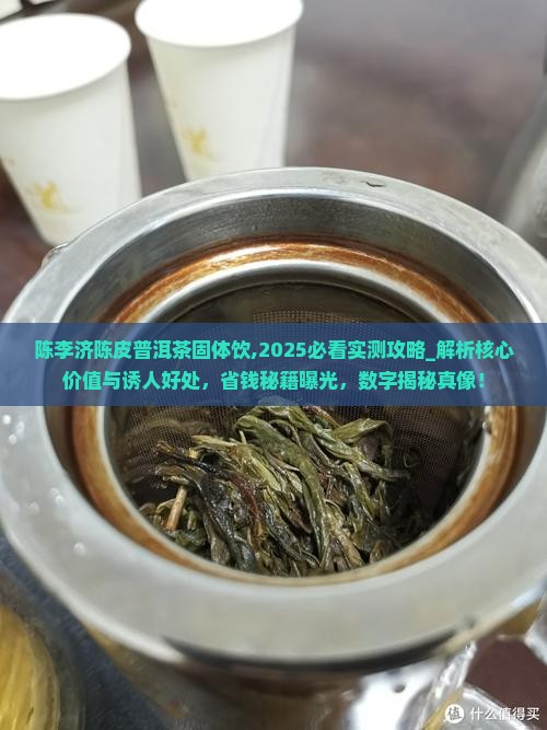 陈李济陈皮普洱茶固体饮