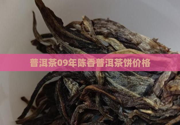 09年陈香普洱茶饼价格