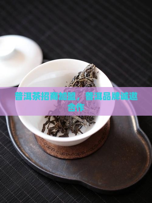 萍乡普洱茶品牌招商加盟