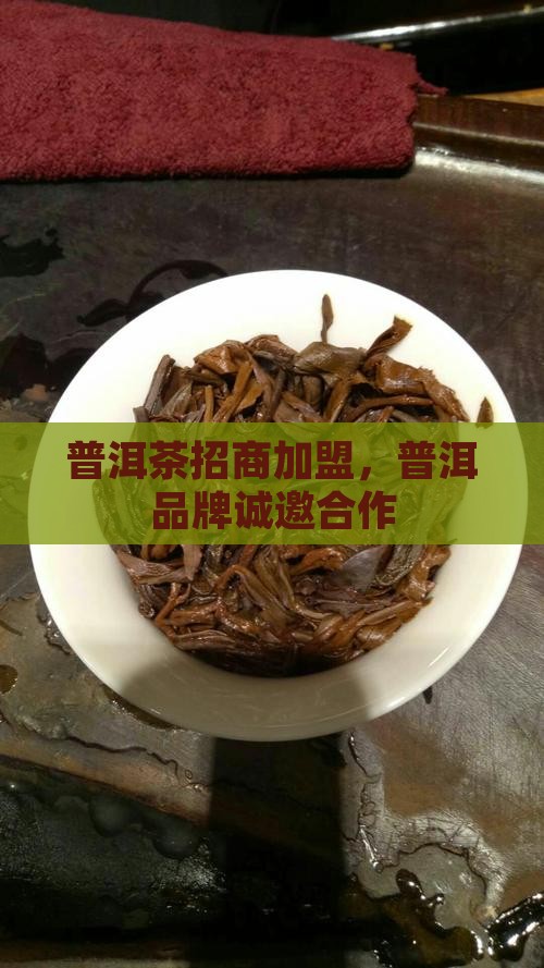 萍乡普洱茶品牌招商加盟