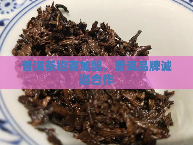 萍乡普洱茶品牌招商加盟