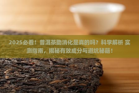 普洱茶为什么有助于消化