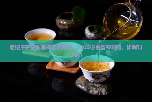 老班章茶王树单株