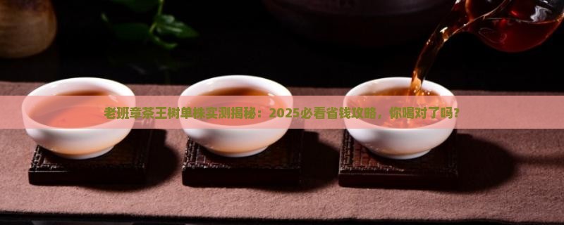 老班章茶王树单株