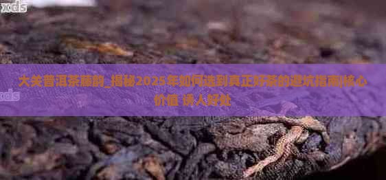 大关普洱茶藤韵