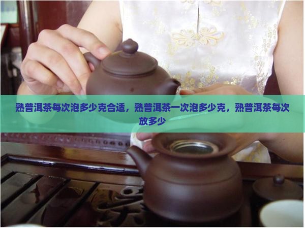 熟普洱茶每次泡多少克合适