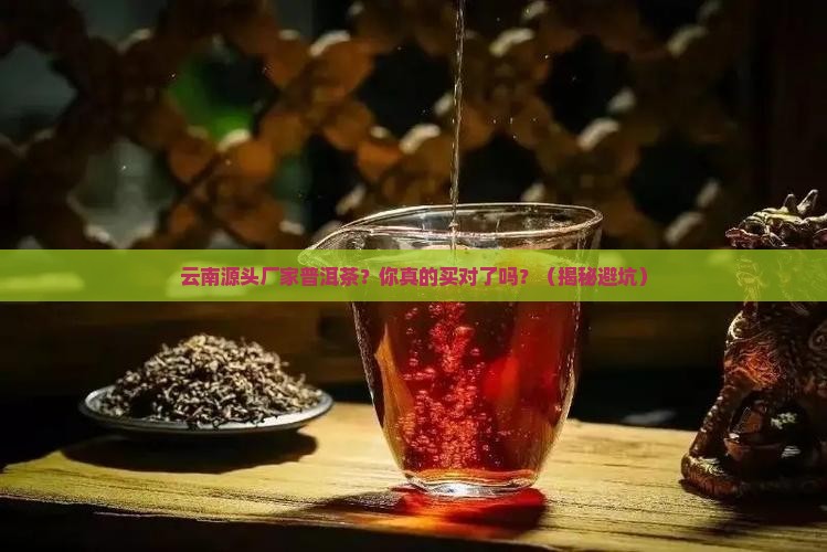 云南源头厂家普洱茶
