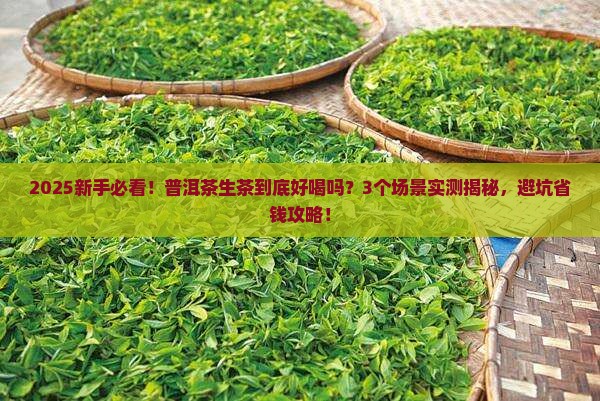 普洱茶生茶好么